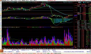 通达信分时指标 通达信分时指标