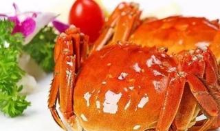 上海农产品展销会